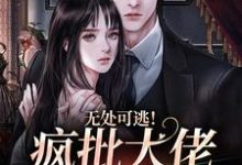 无处可逃！疯批大佬强制爱热门小说(姜亦乔)在线阅读无弹窗-火箭文学