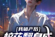 我破产后，校花翻身成总裁要养我？（陈述苏晴晚）最新章节在线阅读-火箭文学