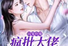 小说囚笼玫瑰：疯批大佬追妻路漫漫（墨淮舟沈洛兮）最新章节在哪看-火箭文学