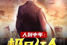 小说人到中年：极品红人（赵腾金露儿）最新章节在哪看-火箭文学