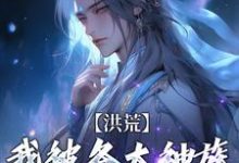 主人公是陆文的小说洪荒:我被各大神族当皮球踢免费阅读-火箭文学