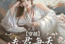 穿越：夫君每天都在争风吃醋完结版沈夏多夫免费阅读大结局-火箭文学