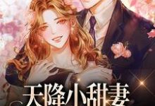 天降小甜妻：偏执大佬抱着哄最新章节天降小甜妻：偏执大佬抱着哄在线阅读-火箭文学