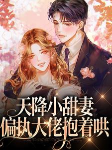 天降小甜妻：偏执大佬抱着哄大结局，徐蓁沈凌风小说无广告阅读