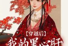 穿越后，我的黑心肝相公太撩人精彩章节在线免费阅读（李希赵承泽）-火箭文学