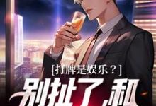 主角是高林赵桂菊的小说打牌是娱乐？别扯了，和打仗差不多在哪免费看-火箭文学