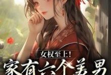 女权至上！家有六个美男是什么体验（言卿）完结版免费阅读-火箭文学