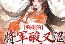 求助这本强扭的将军酸又涩,她不要了!小说在哪里可以看完结版-火箭文学