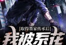 精彩章节阅读取得墨家传承后，我被系花盯上了(陈瀚宁欣楠)免费小说在线看-火箭文学