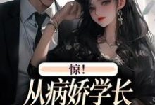 精彩章节阅读惊！从病娇学长身边逃跑失败了(叶寒向暖)免费小说在线看-火箭文学