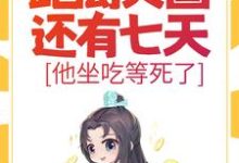 小说大明：距离灭国还有七天？他坐吃等死了主角朱连免费阅读-火箭文学