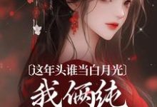 这年头谁当白月光，我俩纯纯走剧情完结版温沅李昭免费阅读大结局-火箭文学