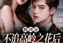 樊璐陆斯钦在线阅读,我决定不追高岭之花后,他急了小说完结版章节-火箭文学