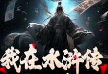 小说我在水浒传里收拢好汉主角王伦免费阅读-火箭文学