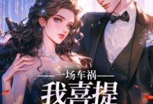 一场车祸，我喜提妻女一双？（陈芸赵乾志）最新章节免费阅读-火箭文学