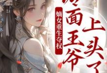 主角是叶流锦的小说两世欢：公府嫡女她是真的狂在哪免费看-火箭文学
