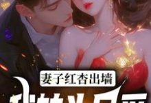 妻子红杏出墙，我转头另爱热门小说(石昊水婉婷)在线阅读无弹窗-火箭文学