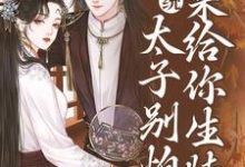 系统：太子别怕，我来给你生娃了小说资源求分享，系统：太子别怕，我来给你生娃了许锦意在线阅读-火箭文学