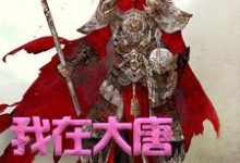 主角是方二的小说我在大唐卖军火在哪免费看-火箭文学