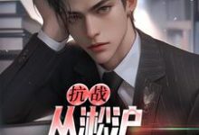 精彩章节阅读抗战:从淞沪保卫战开始(叶青山)免费小说在线看-火箭文学