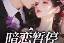 暗恋暂停，开始恋爱精彩章节在线免费阅读（宋霜序贺庭洲）-火箭文学