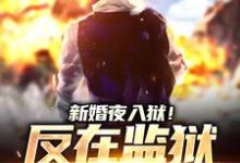 求助这本新婚夜入狱！反在监狱成大佬小说在哪里可以看完结版-火箭文学