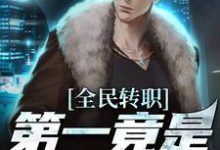 全民转职，第一竟是混子瑶在线看，叶枫小说大结局在哪免费看-火箭文学