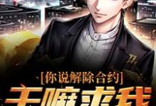你说解除合约,干嘛求我回去精彩章节在线免费阅读(陆洲)-火箭文学