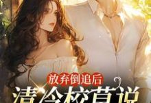 完结版放弃倒追后，清冷校草说他喜欢我在哪免费看，苏晚秋小说在线阅读-火箭文学