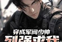 求助这本穿成军阀少帅，列强求我别扩军了小说在哪里可以看完结版-火箭文学