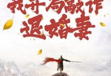 小说穿到修仙界，我开局敲诈退婚妻主角顾风免费阅读-火箭文学