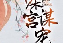 小说深宫谋宠(苏菱魏宸州)最新章节在哪看-火箭文学