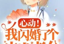 心动！我闪婚了个忠犬老公热门小说(楼阮)在线阅读无弹窗-火箭文学