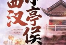 小说西汉小亭侯主角赵启明免费阅读-火箭文学