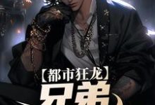 主人公是宋渔向影的小说亲哥出狱，带我起飞有错吗免费阅读-火箭文学