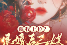踩我上位？退婚后三媒六聘嫁他哥小说最新章节在哪里可以免费看-火箭文学