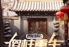 主人公是傻柱秦淮茹的小说四合院：傻柱重生，收养破局免费阅读-火箭文学