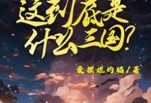求助这本这到底是什么三国小说在哪里可以看完结版-火箭文学