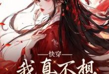 完结版快穿：我真不想再做万人迷在哪免费看，星萝小说在线阅读-火箭文学