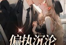 求助这本偏执沉沦:学长,晚上见小说在哪里可以看完结版-火箭文学