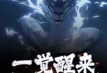 女尊人夫：被逆徒强推的白衣剑仙精彩章节在线免费阅读（叶尘渊江月寒）-火箭文学