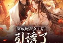踹掉言情男主，勾搭男频帝王（沈毓灵权明赫）最新章节免费在线阅读-火箭文学