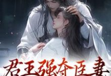 主角是陆妧夕尉迟璟的小说君王强夺臣妻,只为惊鸿一面在哪免费看-火箭文学