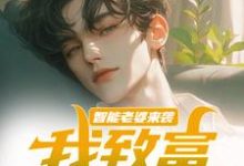 智能老婆来袭，我致富全靠躺免费阅读，苏富夏李紫苏大结局无弹窗-火箭文学
