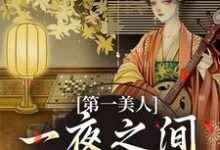 主人公是沐青婼楚云珩的小说第一美人,一夜之间沦为笑柄免费阅读-火箭文学