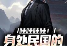 哇哇哇哇！身处民国的我变大佬完结版苏墨免费阅读大结局-火箭文学