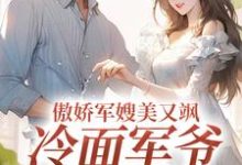 傲娇军嫂美又飒,冷面军爷被拿捏热门小说(岑婧怡顾延卿)在线阅读无弹窗-火箭文学