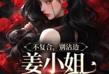 不复合，别沾边，姜小姐又美又飒（顾衍泽苏辞心）最新章节在线阅读-火箭文学