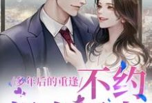 完结版多年后的重逢，不约，姐有男友在哪免费看，禾念安傅璟忱小说在线阅读-火箭文学