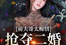 小说前夫哥太痴情,抢夺二婚新郎席位主角苏墨菀免费阅读-火箭文学